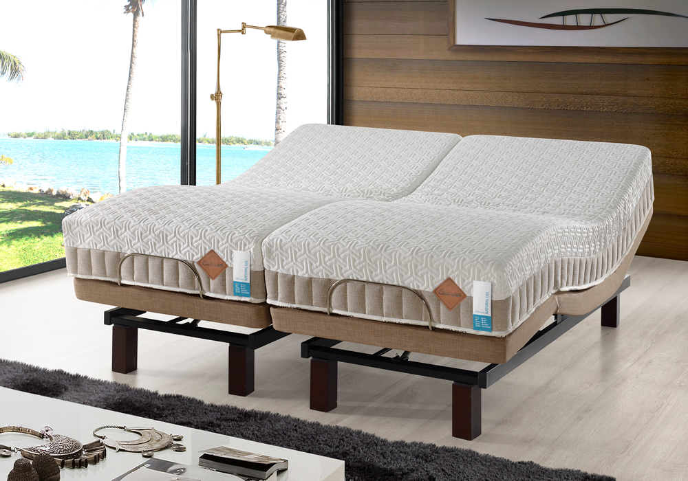Cama Articulada Ergomotion